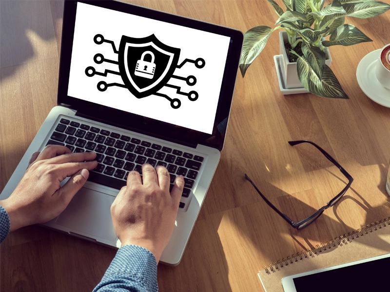 Website Safety Audit