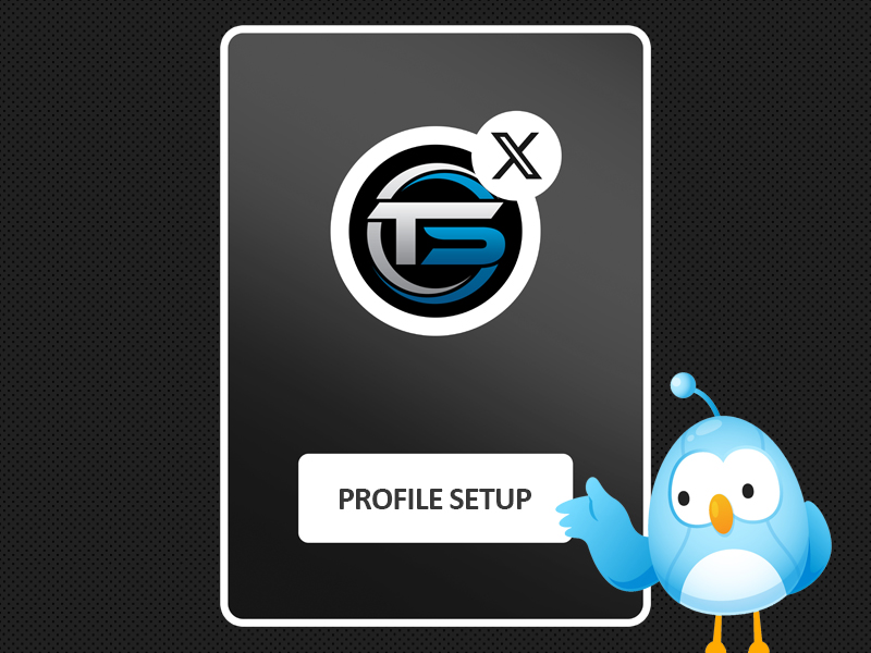X (Twitter) Profile Setup