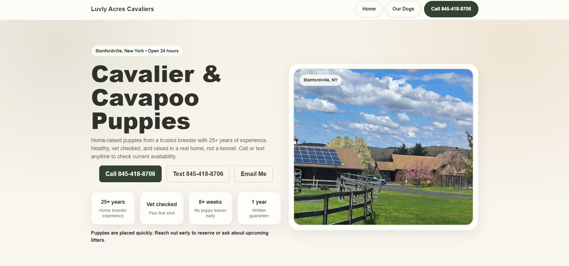 Luvly Acres Cavaliers website homepage designed by Toohey Services